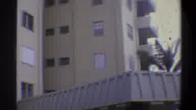 Troy New York USA (1973): Side Of A Tall Tan Building With A Palm Tree Blowing In