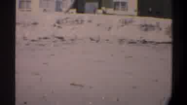 Gainsville Florida USA (1974): When We Lived Back In The Old Apartment Brads