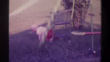 Gainsville Florida USA (1974): Small Blonde Haired Boy Is Shown On Top Of A Swing