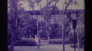 Gainsville Florida USA (1974): Playing And Enjoy The Games With The Kids
