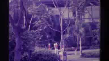 Gainsville Florida USA (1974): House With Some Trees And People In The Background