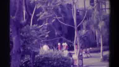 Gainsville Florida USA (1974): The Men Was Walking In The Park