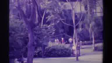 Gainsville Florida USA (1974): Pool People Large House Resort Grass Trees Water
