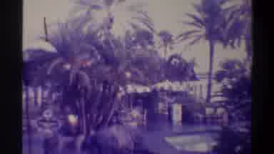 Gainsville Florida USA (1974): Beachfront Paradise Hotel In The 80'S With Palm