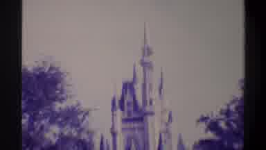 Gainsville Florida USA (1974): Many People Walking In Front Of A Castle In The