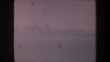 Volmer Yucaipa California USA (1959): Airplane Takeoff Landing Special Moment