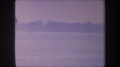 Volmer Yucaipa California USA (1959): An Abstract Video Of Trees And A Plane Shows