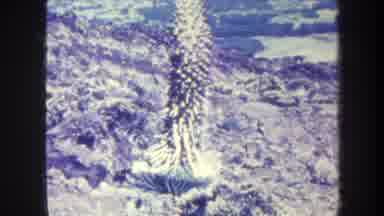 Honolulu Hawaii USA (1967): Mountain Area Showing Surrounding River Or Lake And