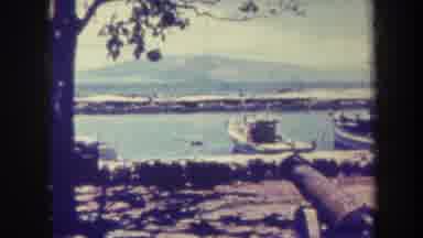 Honolulu Hawaii USA (1967): Looking At Nature