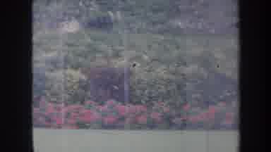 Honolulu Hawaii USA (1967): Young Boy In Roses And Brush Green Family Home