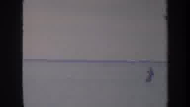Honolulu Hawaii USA (1967): People Playing In The Ocean