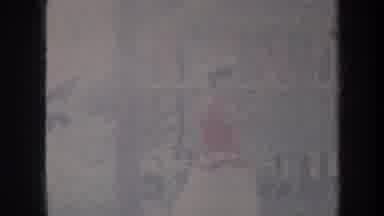 Honolulu Hawaii USA (1967): Someone Playing Instrument The Pretty Girl Dancing