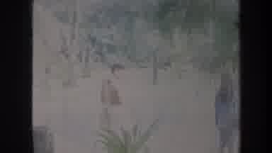 Honolulu Hawaii USA (1967): Grandmother House Kids Jungle Island Talking Playing