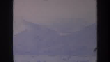 Honolulu Hawaii USA (1967): Mountains And Hills In The Background With Trees And A
