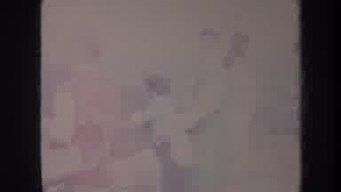 Honolulu Hawaii USA (1967): A Group Of People Went To A Beautiful Place To Enjoy