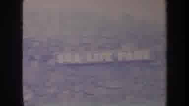 Honolulu Hawaii USA (1967): A Rock Wall Fence With An Attached Sign And A Metal