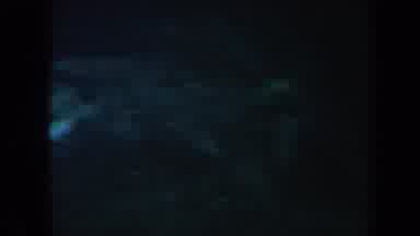 Honolulu Hawaii USA (1967): Underwater Footage Tropical Fish Coral Rocks Sand