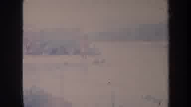 Honolulu Hawaii USA (1967): A Man On An Island Feeding Dolphins In Beautiful
