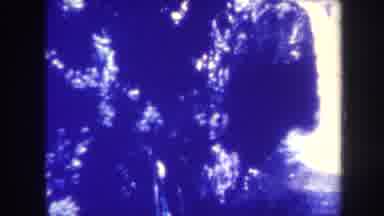 Honolulu Hawaii USA (1967): Slow Pan Across A Heavy Waterfall