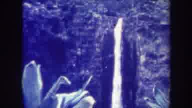 Honolulu Hawaii USA (1967): Scene Of Nature Including Tall Waterfall In The Forest