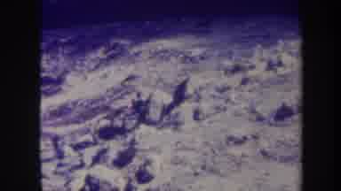 Honolulu Hawaii USA (1967): Snow Hill And A Flower With Snowflakes