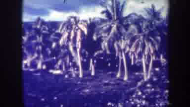 Honolulu Hawaii USA (1967): Old Color Film Of Rocky Coastline With Palm Trees No