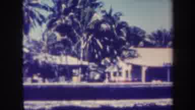 Honolulu Hawaii USA (1967): Pathway With Lot Coconut Trees Rise Of Sun Above