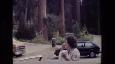 San Francisco California (1984): My Family And I Went To The Park And Everyone Was
