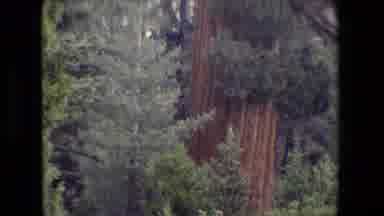 San Francisco California (1984): An Exciting Road Trip To The Hilly Area With The