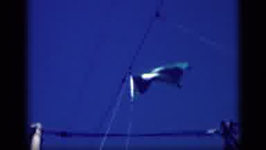 Cairo Egypt (1946): A United States Flag Flies From The Stern Of A Ship While