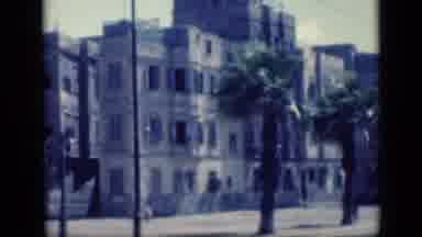 Cairo Egypt (1946): A Row Of Palm Trees Stands In Front Of Buildings Lining A
