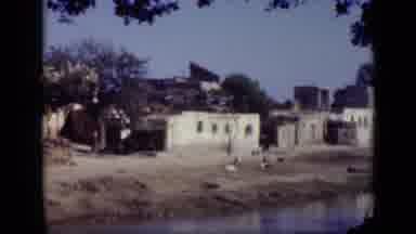 Cairo Egypt (1946): Waterfront Property Palm Trees Windy Damaged Property People