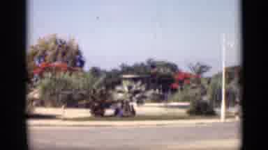 Cairo Egypt (1946): A Beautiful View Of The Colorful Flowers On The Roadside