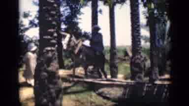 Cairo Egypt (1946): Man Wearing A Hat Riding A Donkey With A Child In Front