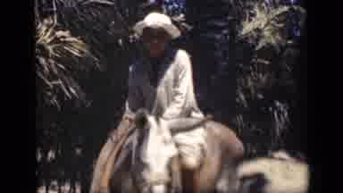 Cairo Egypt (1946): A Girl Riding On The Horse Two Men Are Watched Them