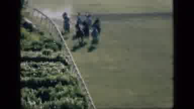 Cairo Egypt (1946): Light Colored Horse Takes Lead In Race Down Dusty Track