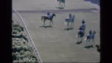 Cairo Egypt (1946): Video Shows Riders Riding Horses Along Track In Large City