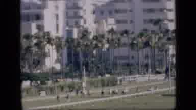 Cairo Egypt (1946): It's A Horse Race In A Nice Place With Palm Trees
