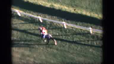 Cairo Egypt (1946): Racehorse And Jockey Warming Up On Grass Track Wearing Race