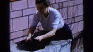 San Diego California USA (1949): A Woman With White Shirt Combing Her Black Dog