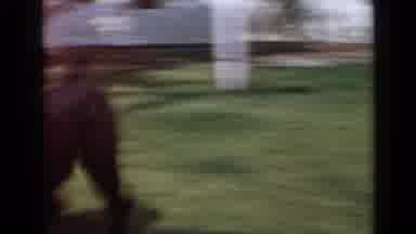 San Diego California USA (1949): An Excited Black Dog Running And Playing In The