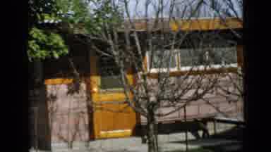 San Diego California USA (1949): Small House Windows Door Yard Trees Front One