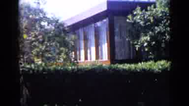 San Diego California USA (1949): Wind Blowing Through Trees Near Tall Brick
