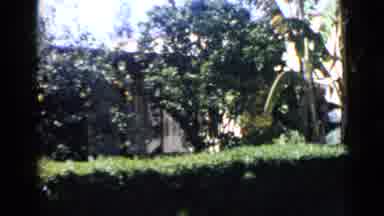 San Diego California USA (1949): Backyard Of Orange County Family