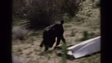 San Diego California USA (1949): Man On Top Of Roof Looking Down Dog Sniffing
