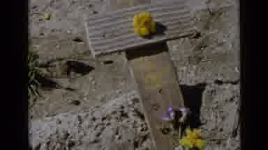 San Diego California USA (1949): Wooden Cross With Flowers On Ground On A Bright