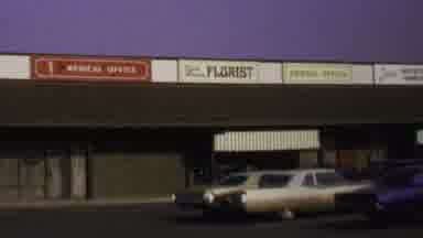 Washington DC USA (1969): Florist In The City
