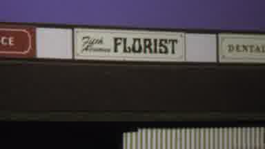 Washington DC USA (1969): Zooming In Then Out On Fifth Avenue Florist Store Sign