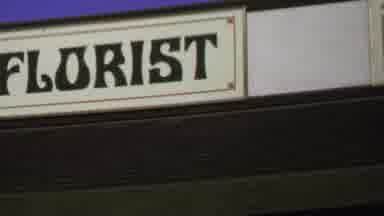 Washington DC USA (1969): A Store Sign Of A Florist Called Tifek Avenue Florist