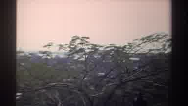 Taiwan (1982): An Eye Level Aerial The Tops Of Trees With A Few Green Leaves On In